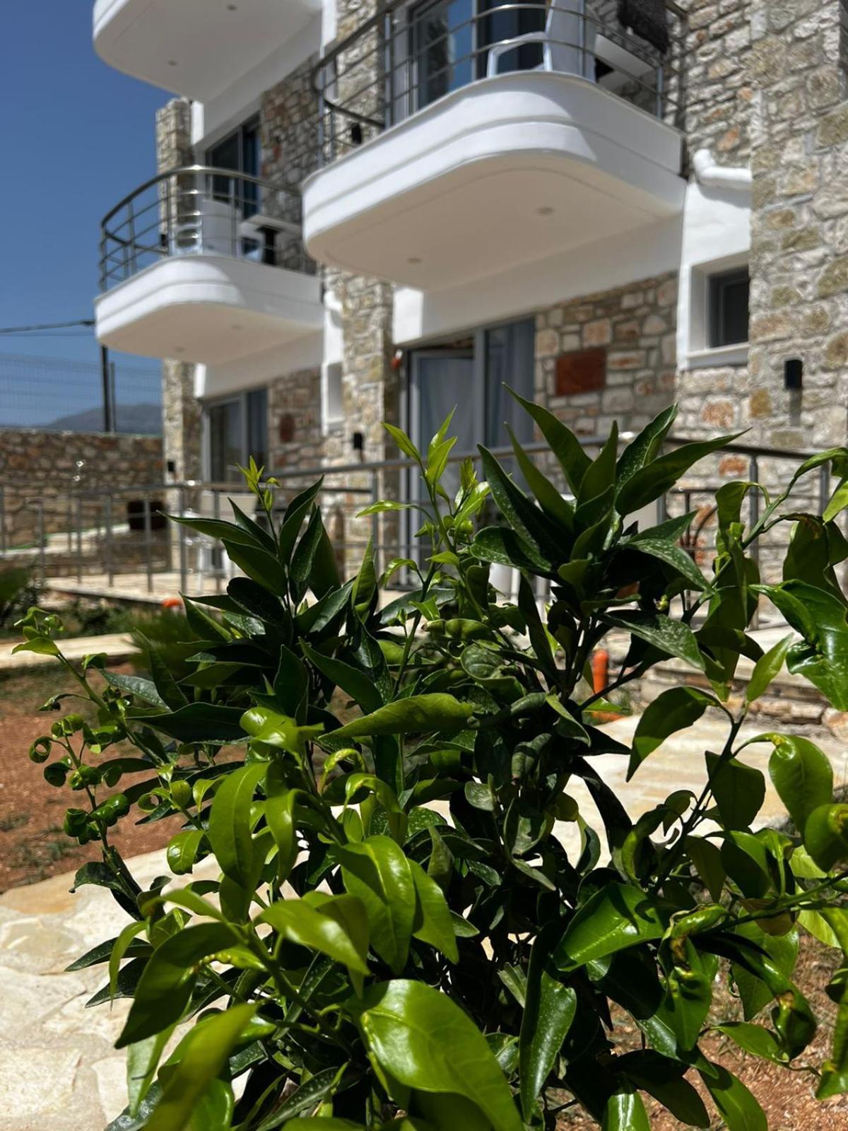 Noah'S Home Himare Buitenkant foto
